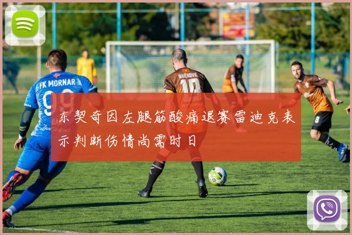 东契奇因左腿筋酸痛退赛雷迪克表示判断伤情尚需时日